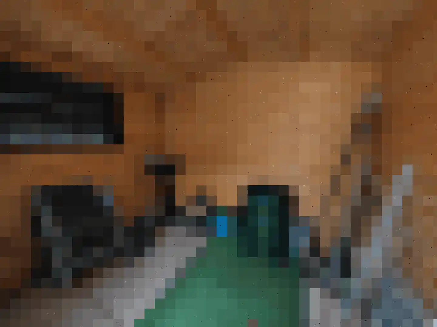 Koningsweg 14 G22 Arnhem thumbnail 8