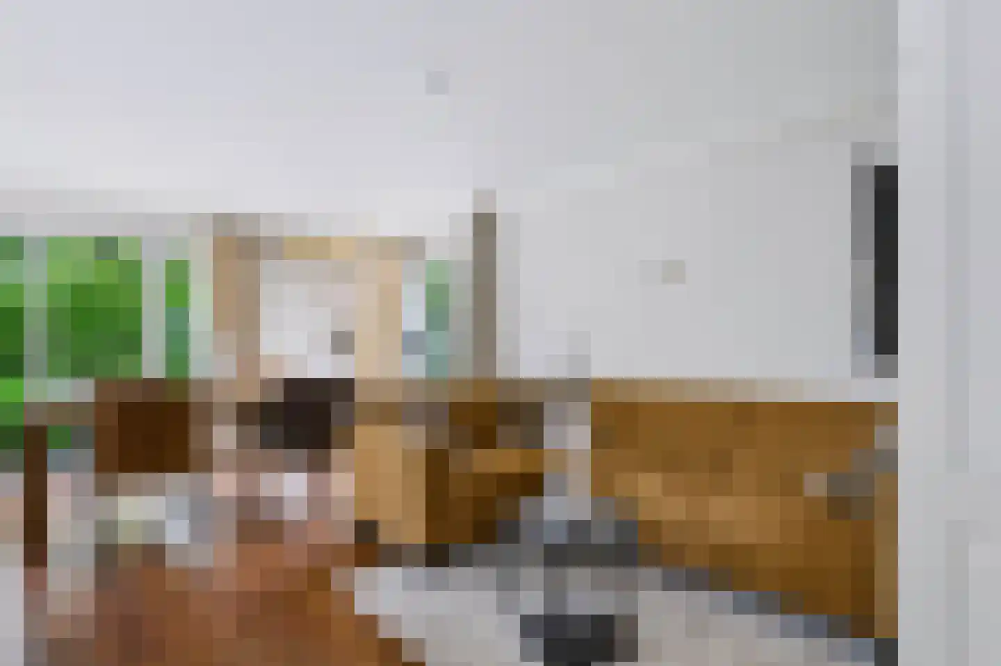 Koningsweg 14 H15 Arnhem thumbnail 4