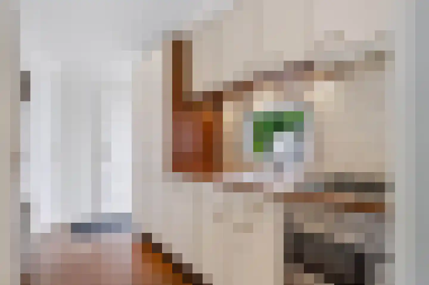 Koningsweg 14 H15 Arnhem thumbnail 8