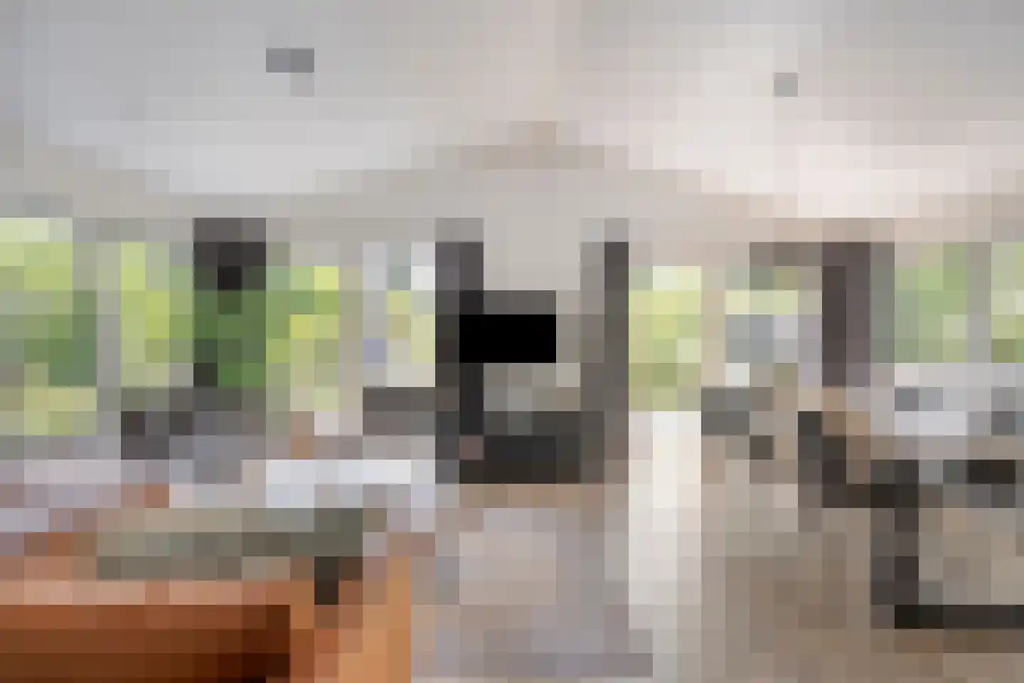 Koningsweg 14 V39 Arnhem thumbnail 11