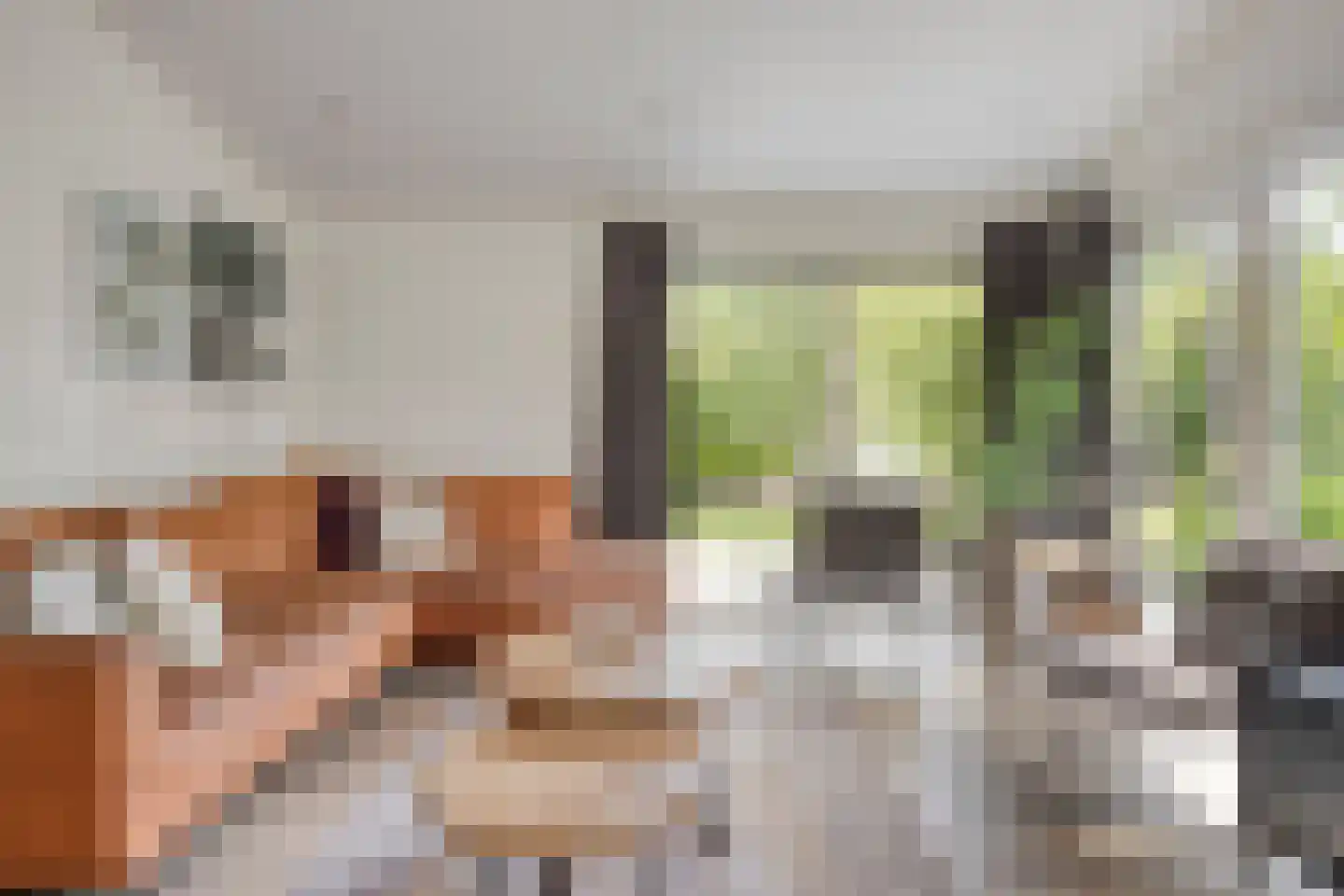 Koningsweg 14 V39 Arnhem thumbnail 14