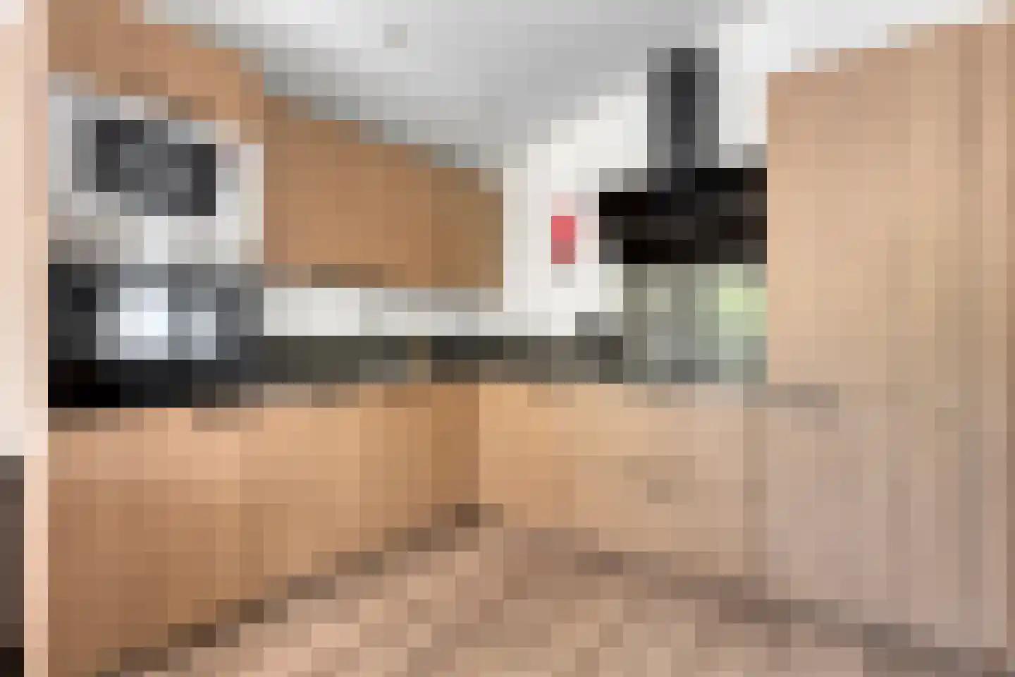 Koningsweg 14 V39 Arnhem thumbnail 19