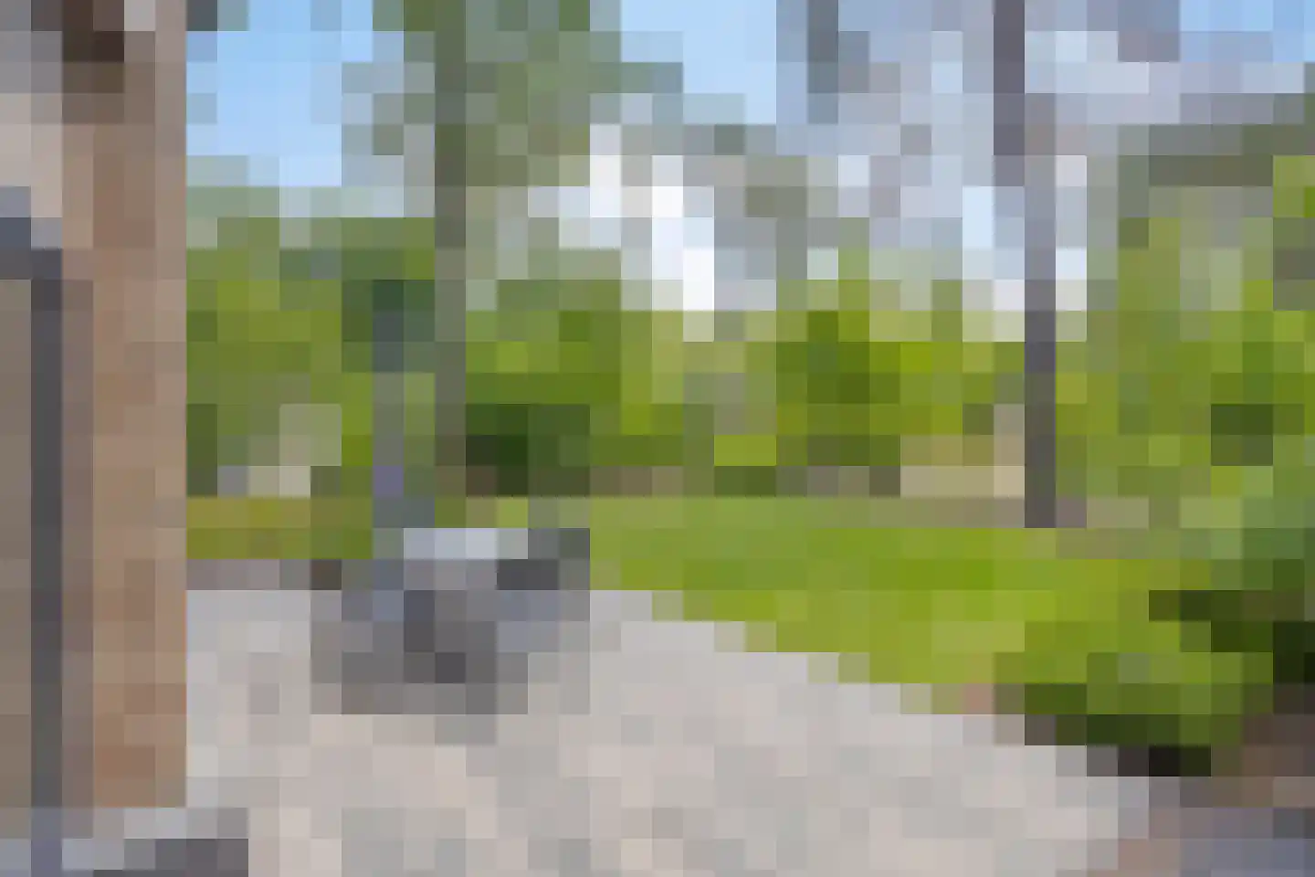 Koningsweg 14 V39 Arnhem thumbnail 4