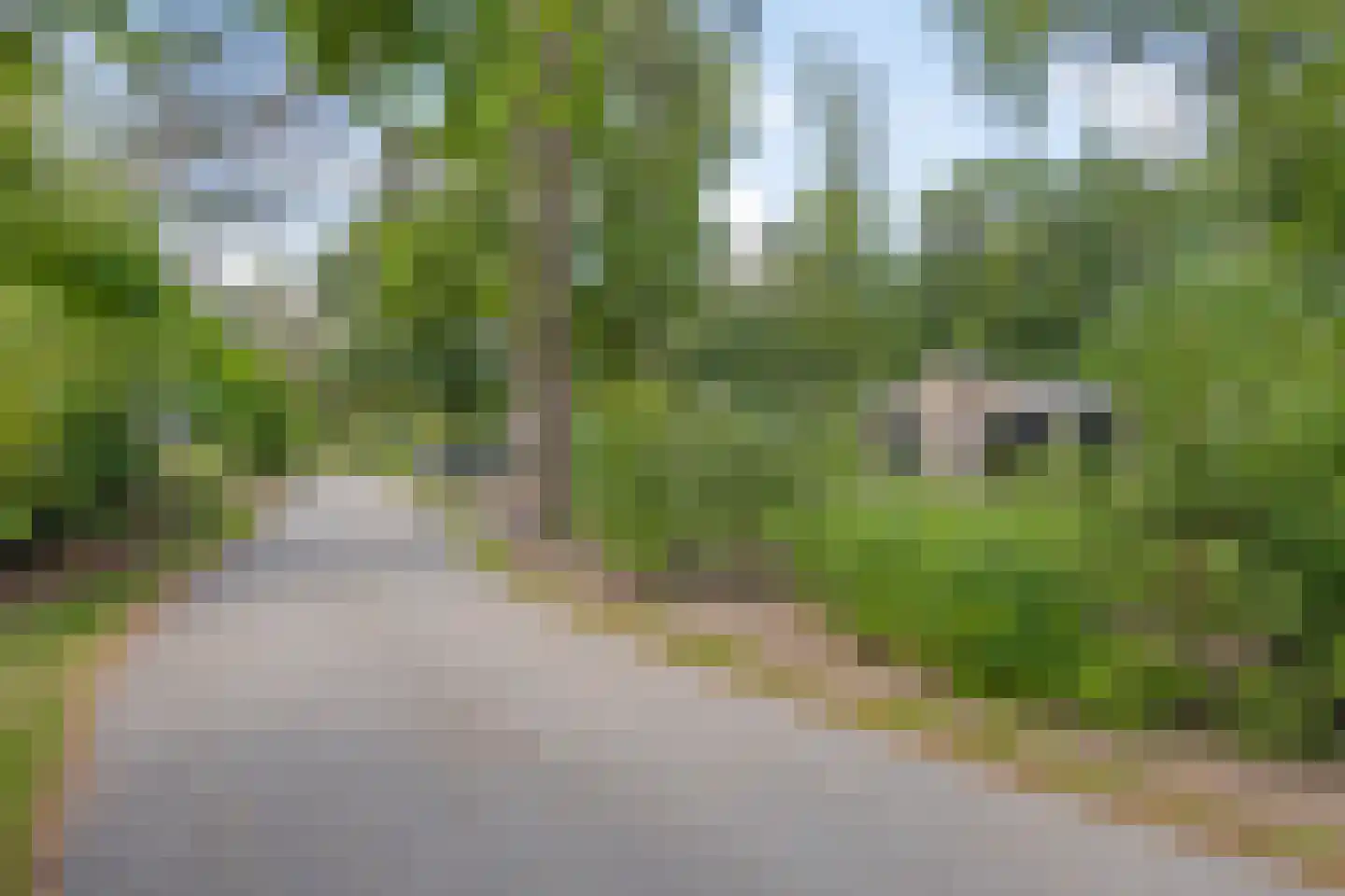 Koningsweg 14 V39 Arnhem thumbnail 5