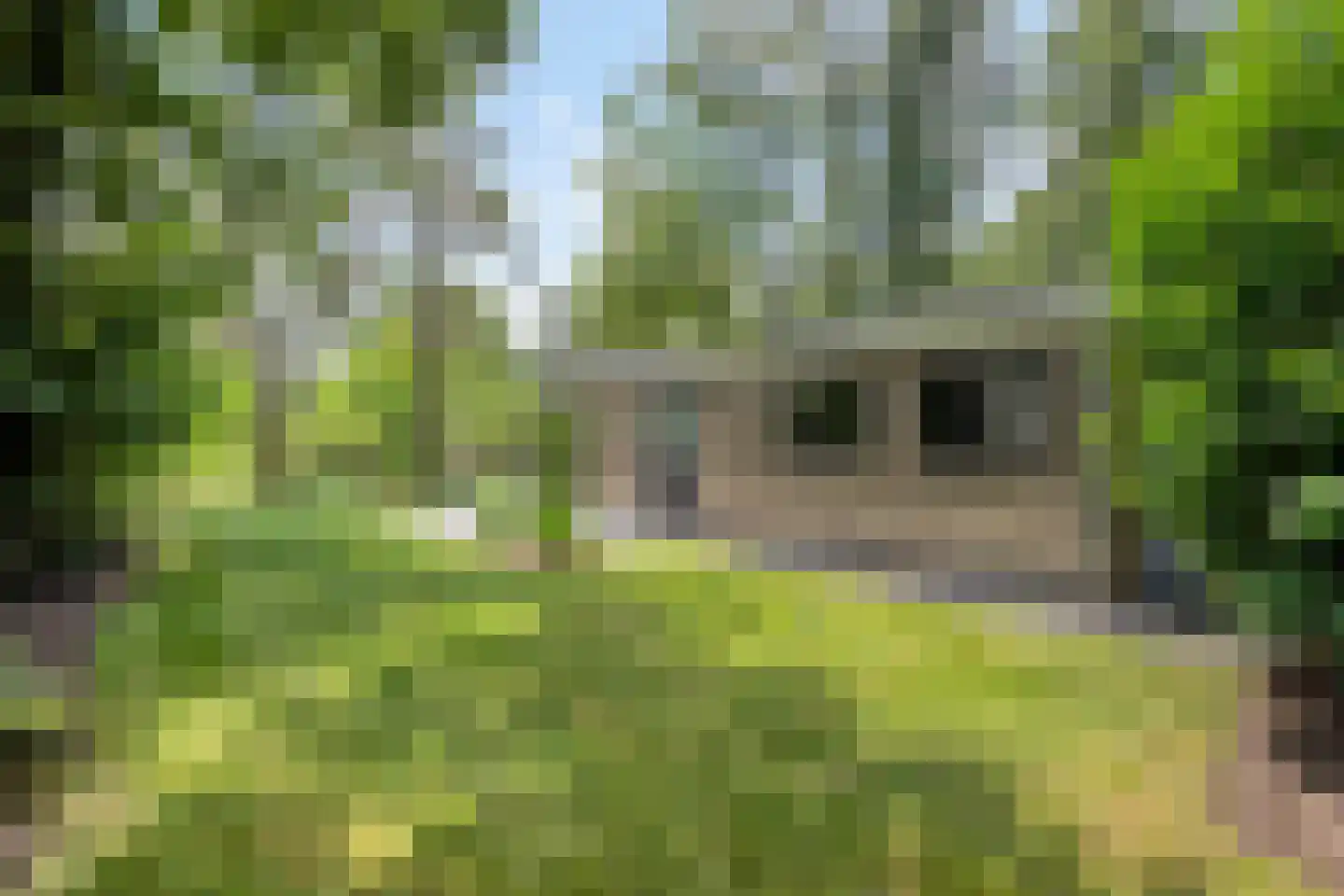 Koningsweg 14 V39 Arnhem thumbnail 7