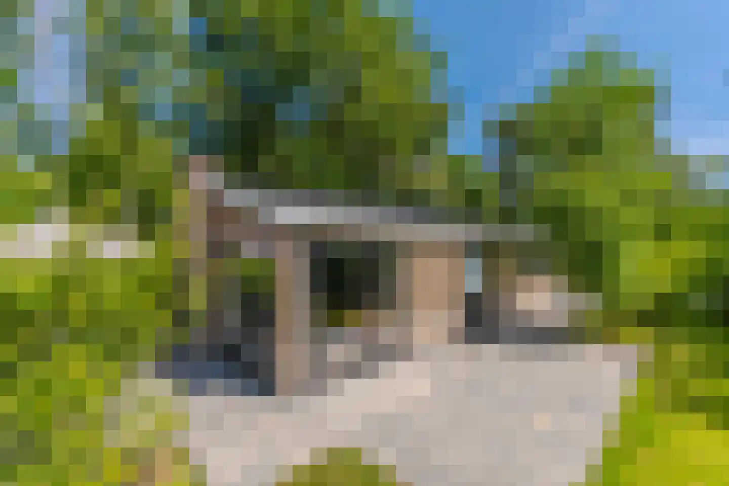 Koningsweg 14 V43 Arnhem thumbnail 4