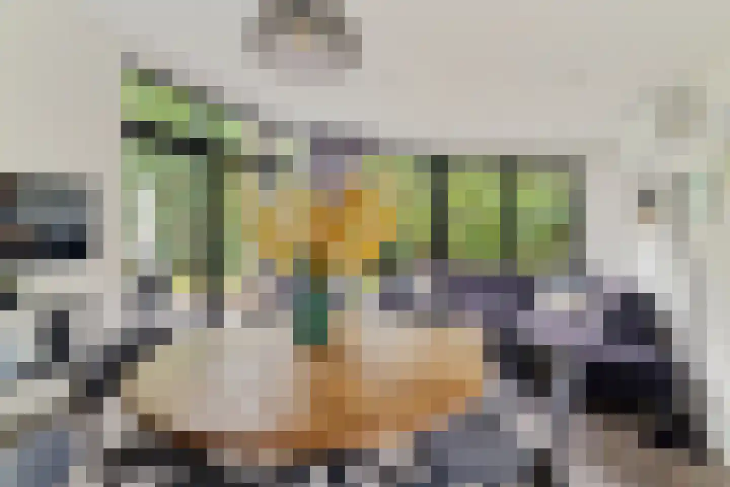 Koningsweg 14 V53 Arnhem thumbnail 7