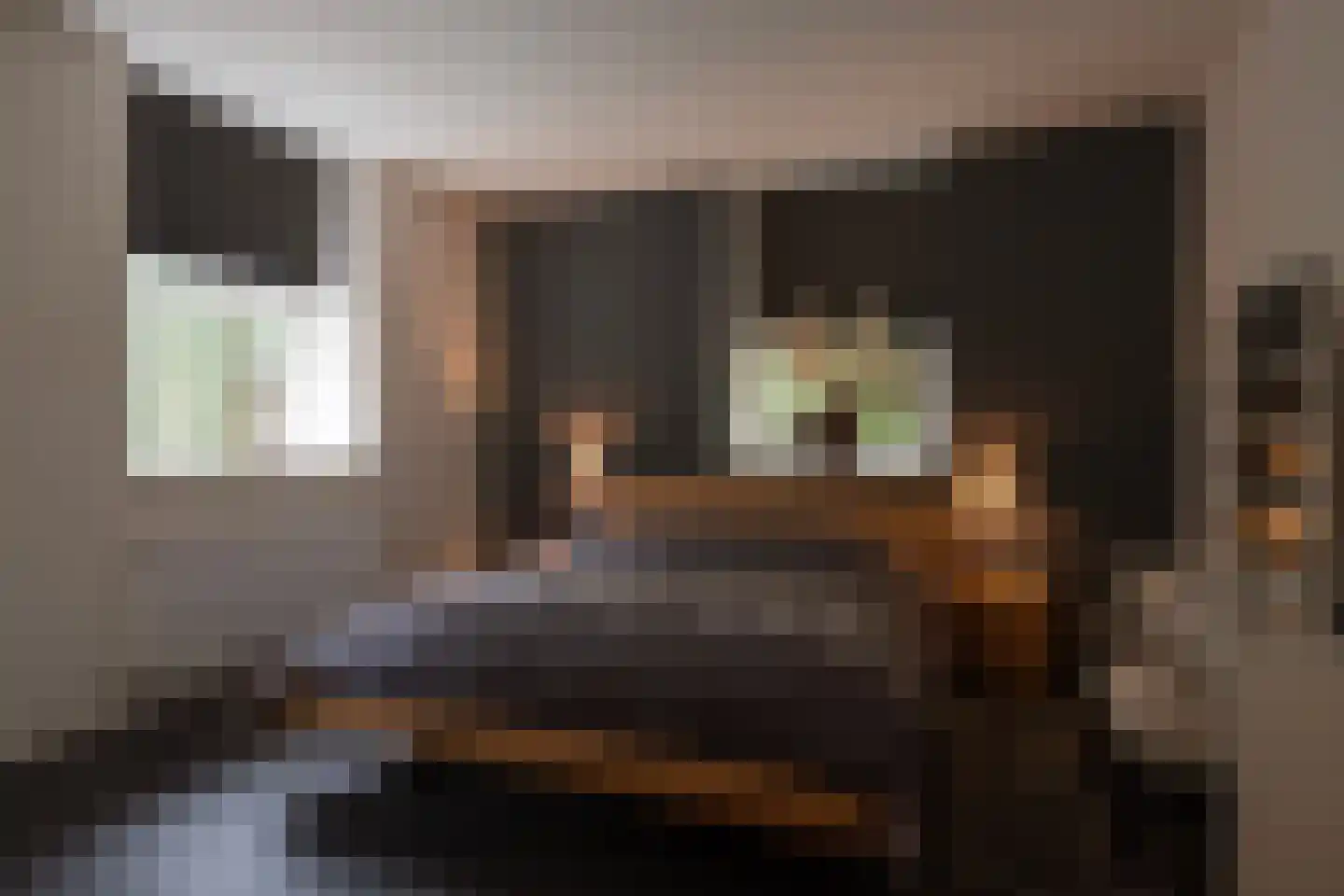 Koningsweg 15 A Arnhem thumbnail 20