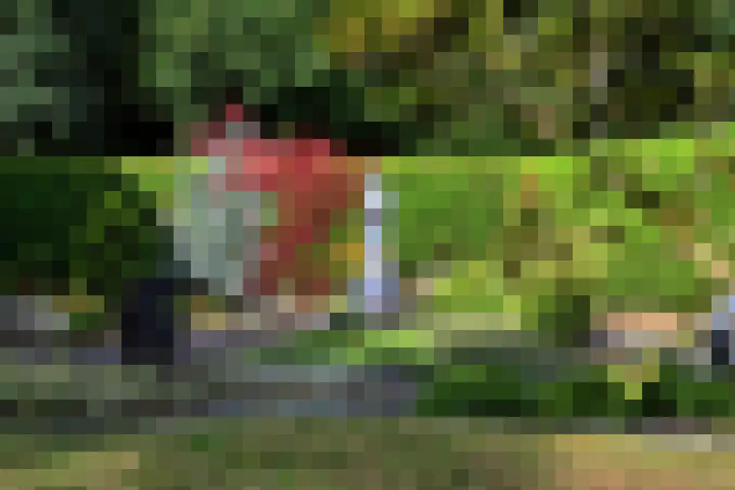 Koningsweg 15 A Arnhem thumbnail 40