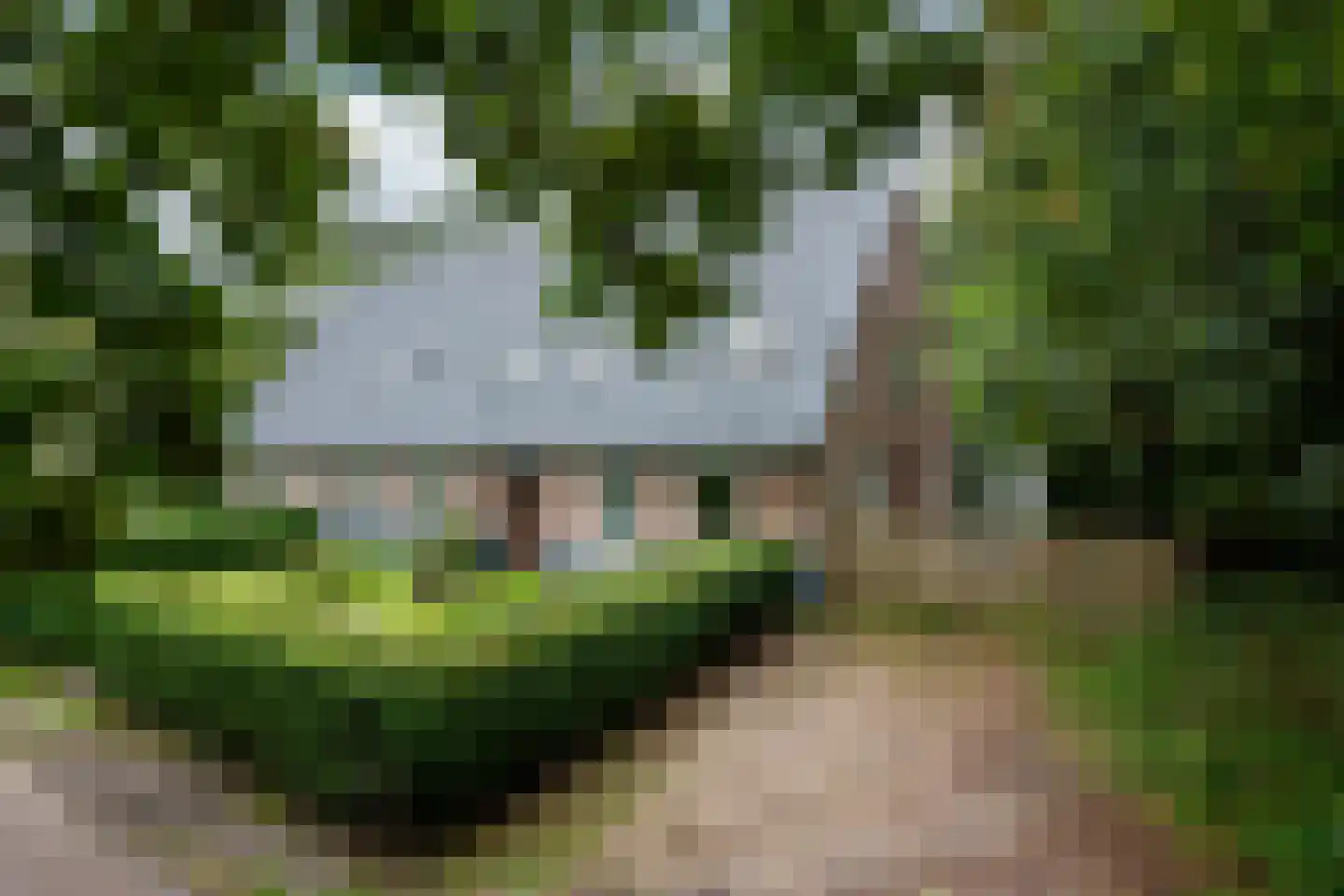 Koningsweg 15 A Arnhem thumbnail 45