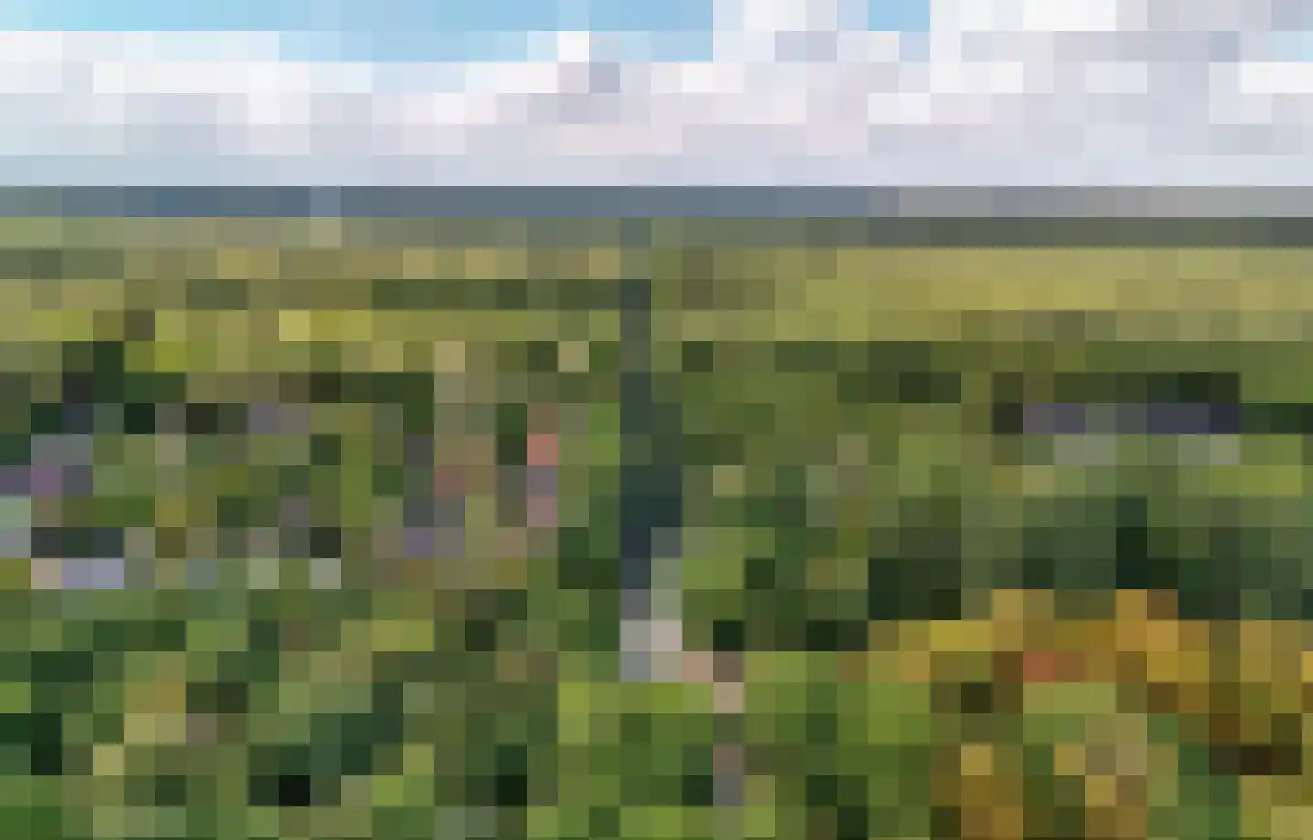 Koningsweg 15 A Arnhem thumbnail 46