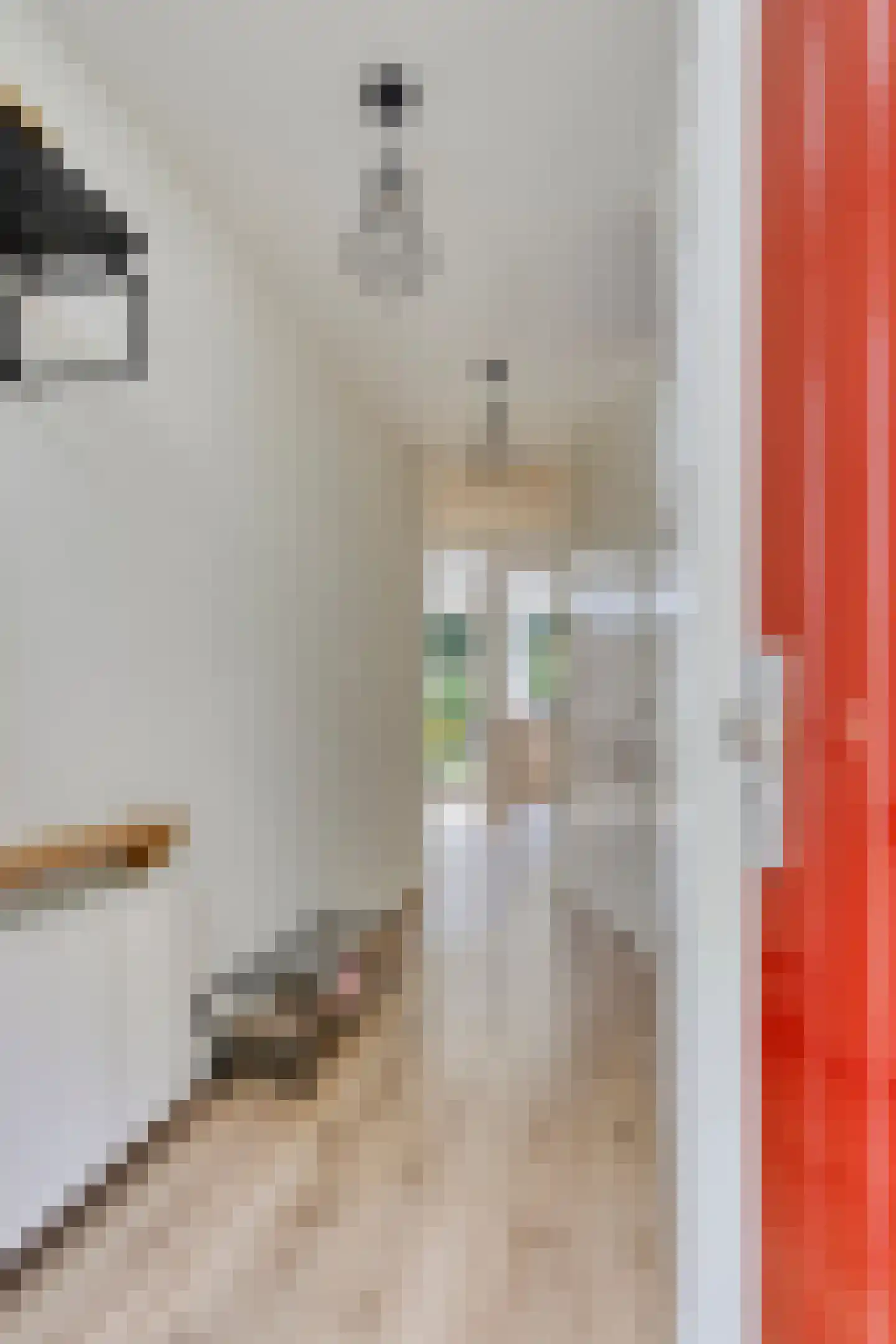 Koningsweg 15 Geldermalsen thumbnail 12