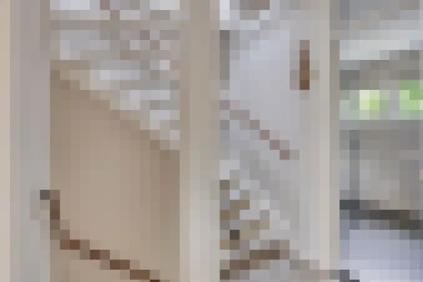 Koningsweg 15 Geldermalsen thumbnail 13