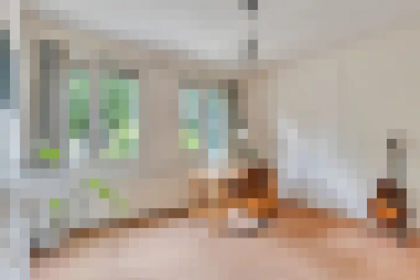 Koningsweg 15 Geldermalsen thumbnail 17