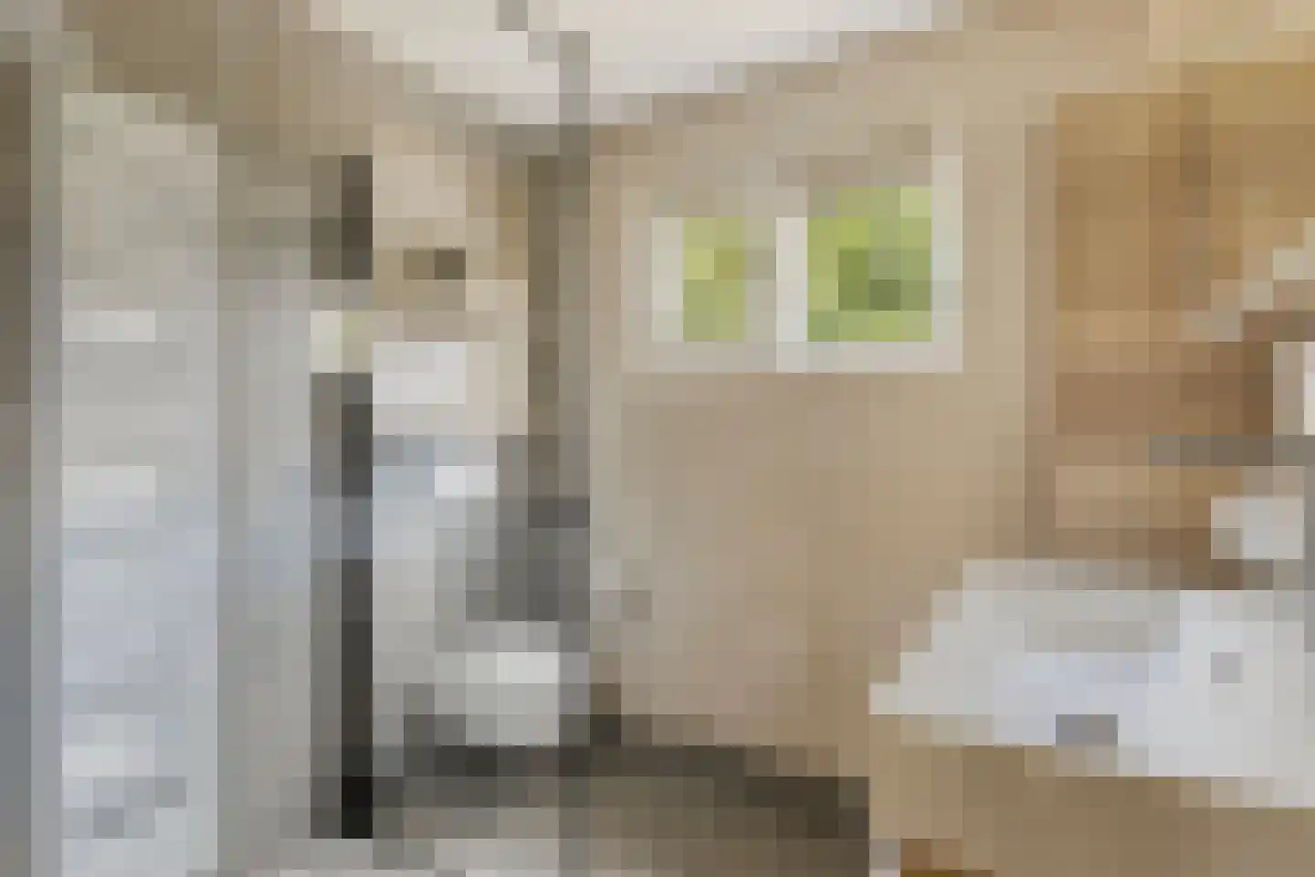 Koningsweg 15 Geldermalsen thumbnail 20
