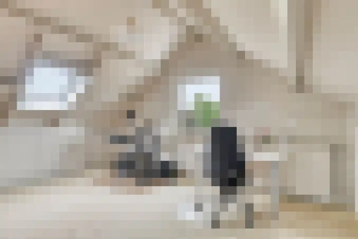 Koningsweg 15 Geldermalsen thumbnail 25