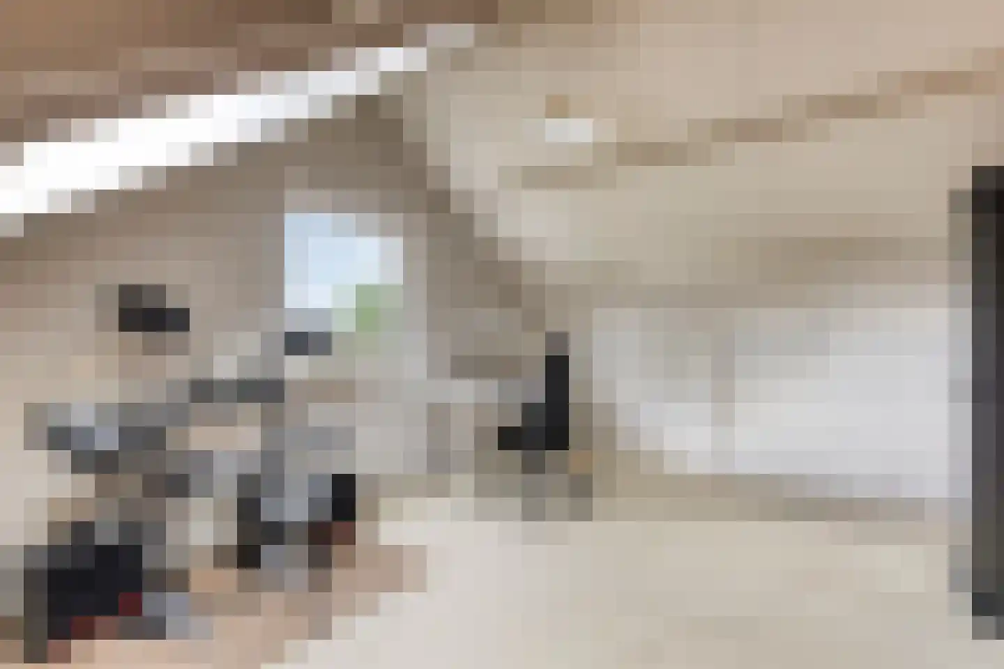 Koningsweg 15 Geldermalsen thumbnail 26