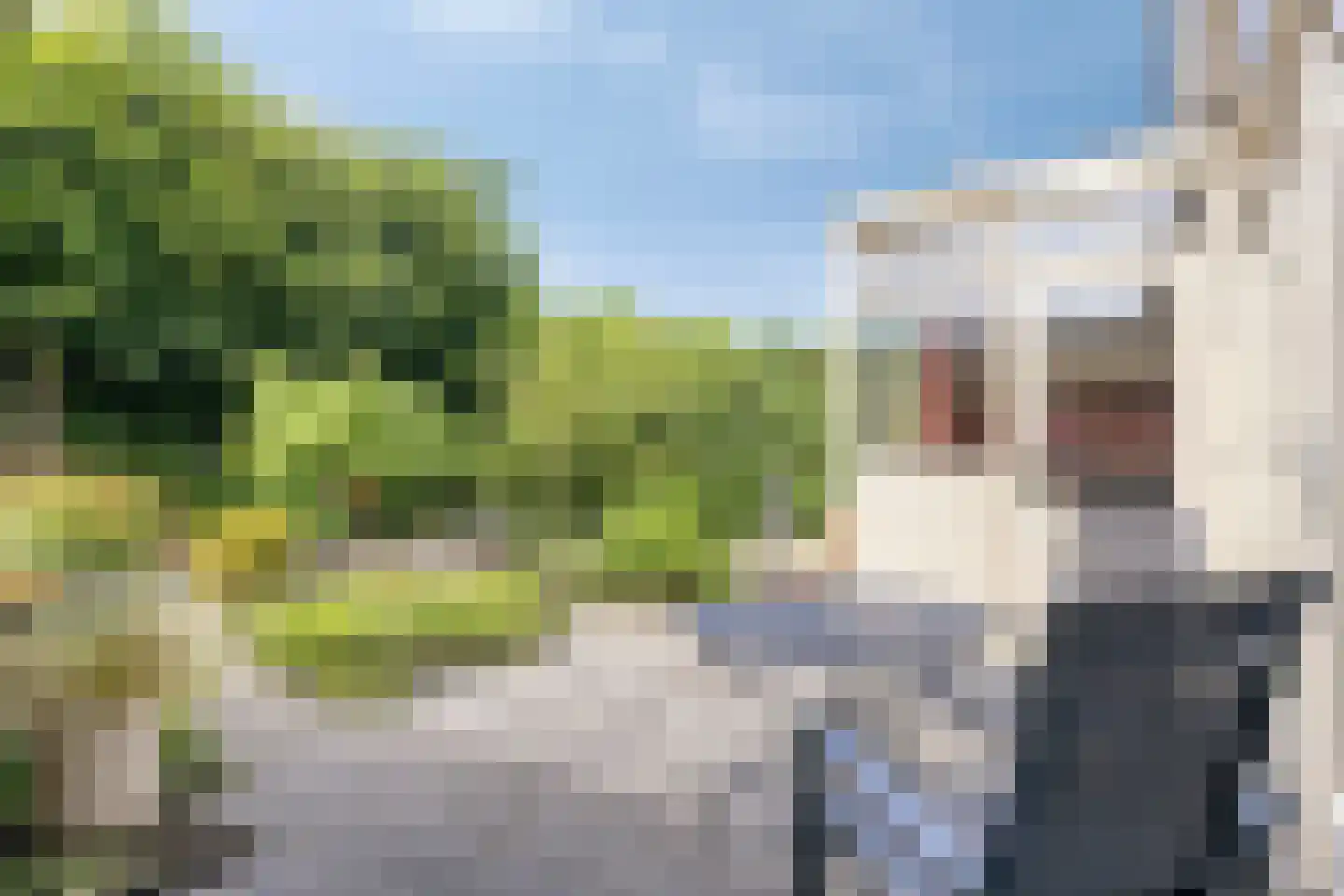 Koningsweg 15 Geldermalsen thumbnail 28