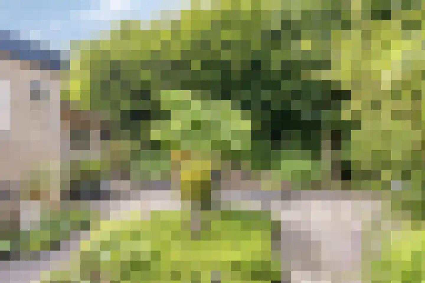 Koningsweg 15 Geldermalsen thumbnail 30