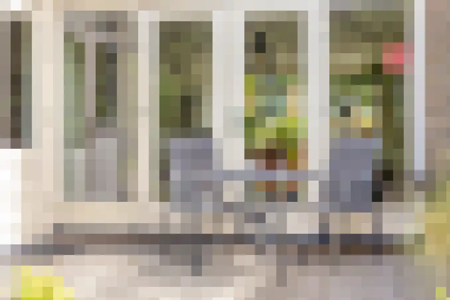 Koningsweg 15 Geldermalsen thumbnail 31