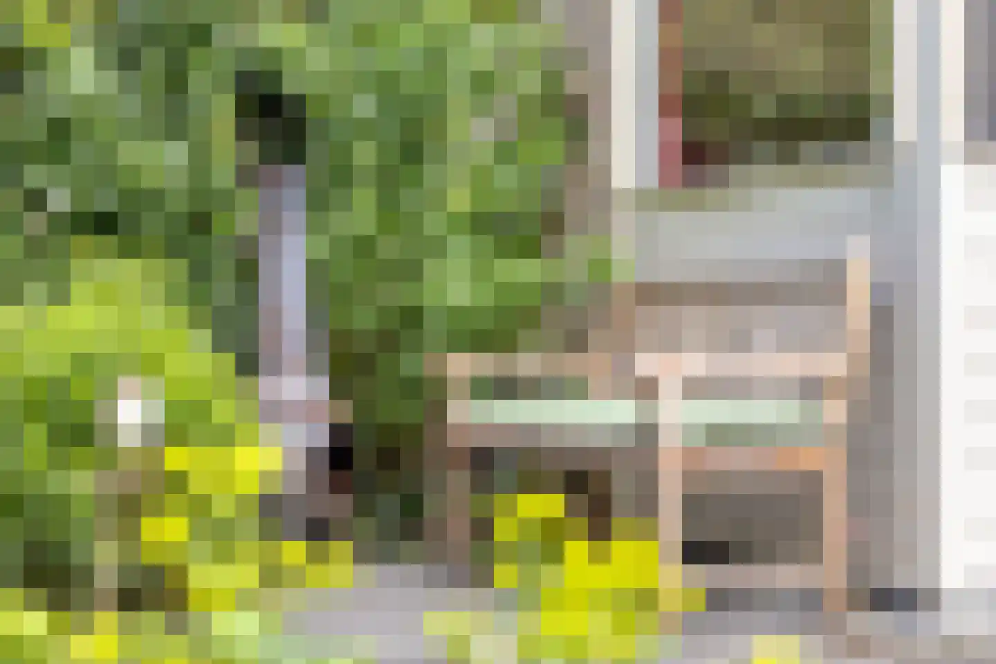 Koningsweg 15 Geldermalsen thumbnail 32