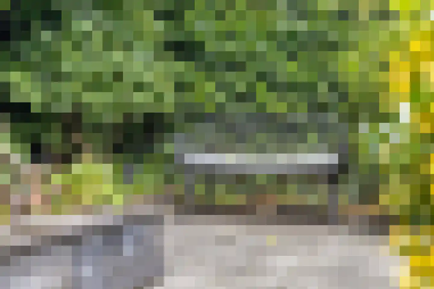 Koningsweg 15 Geldermalsen thumbnail 33