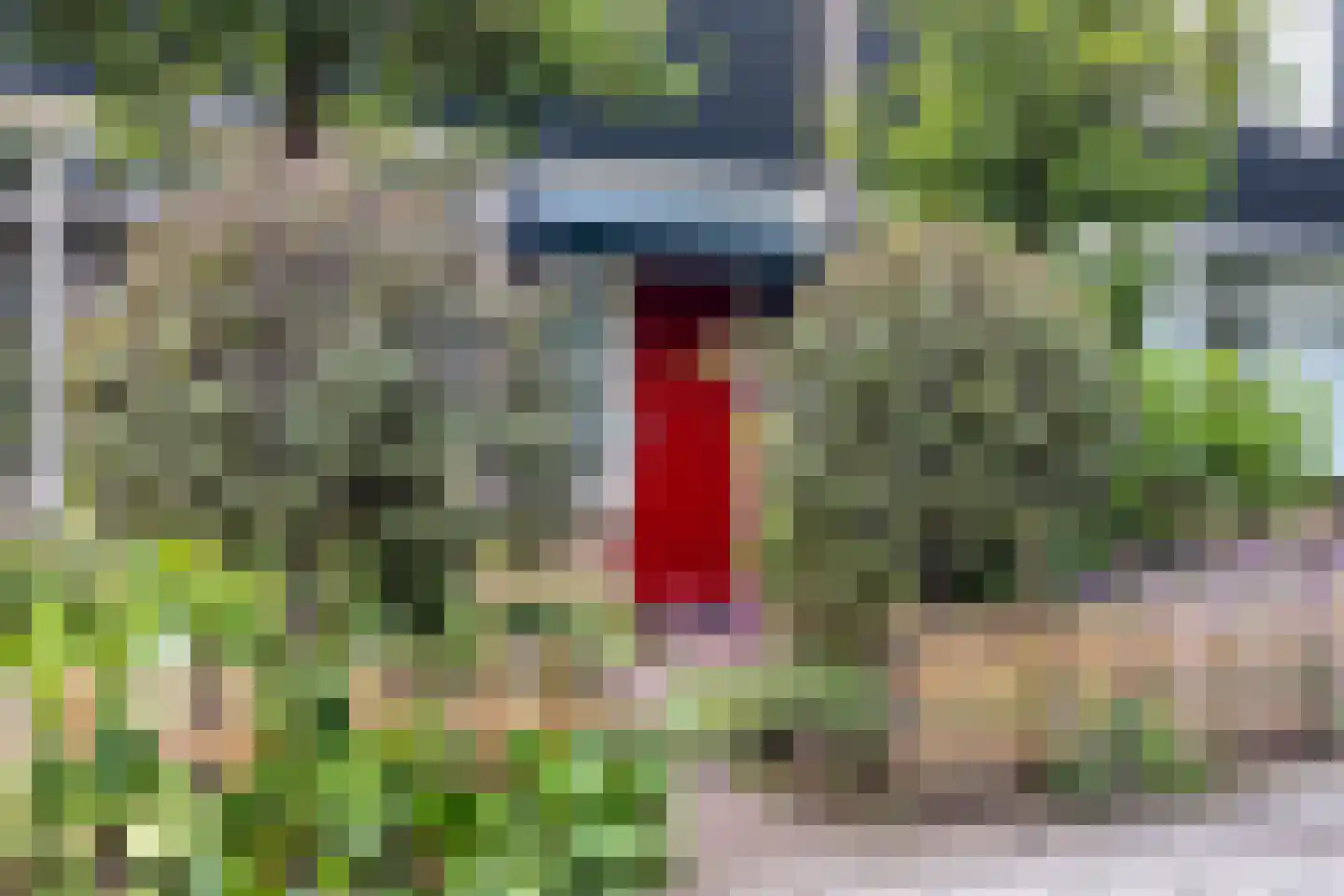 Koningsweg 15 Geldermalsen thumbnail 37