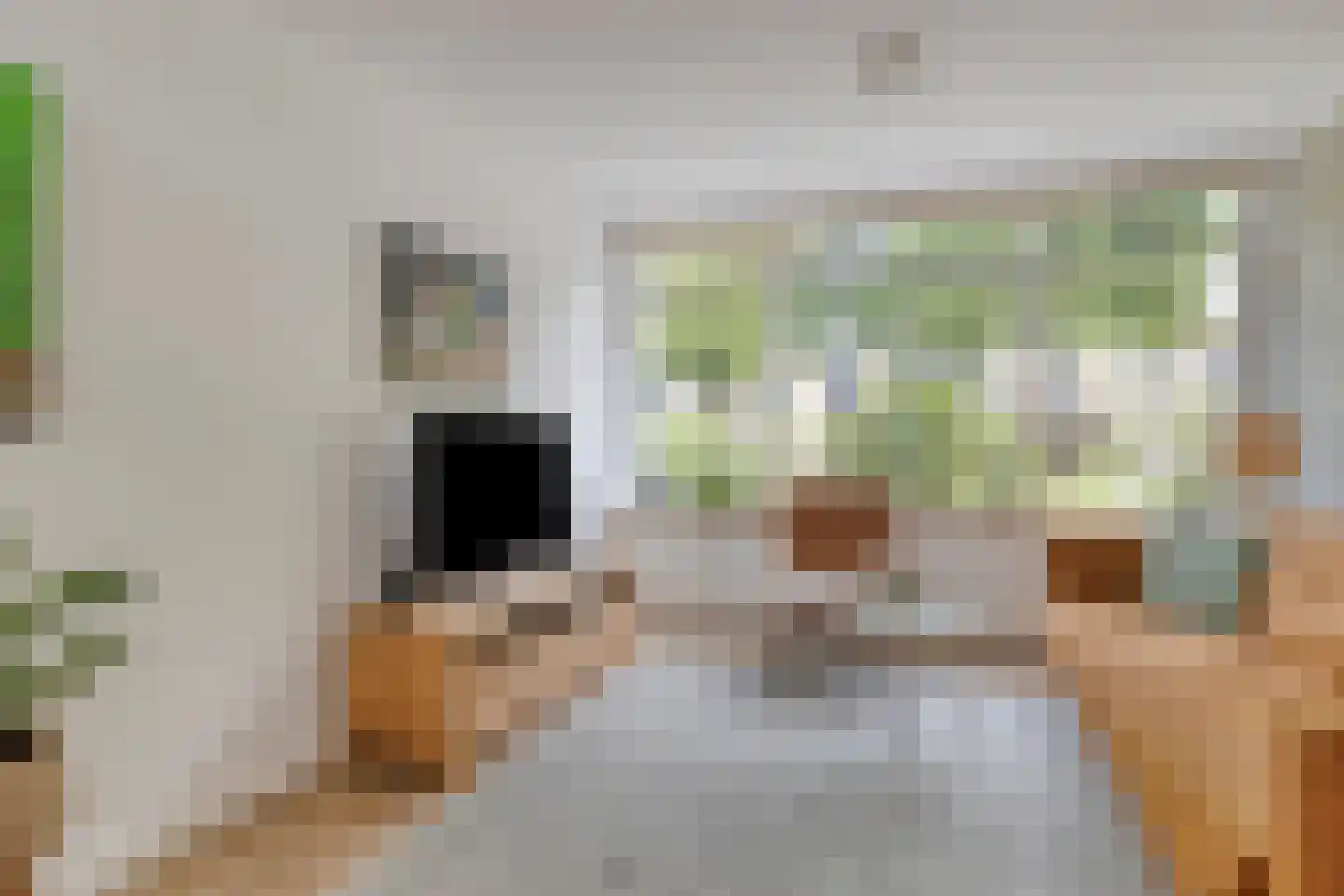 Koningsweg 15 Geldermalsen thumbnail 4