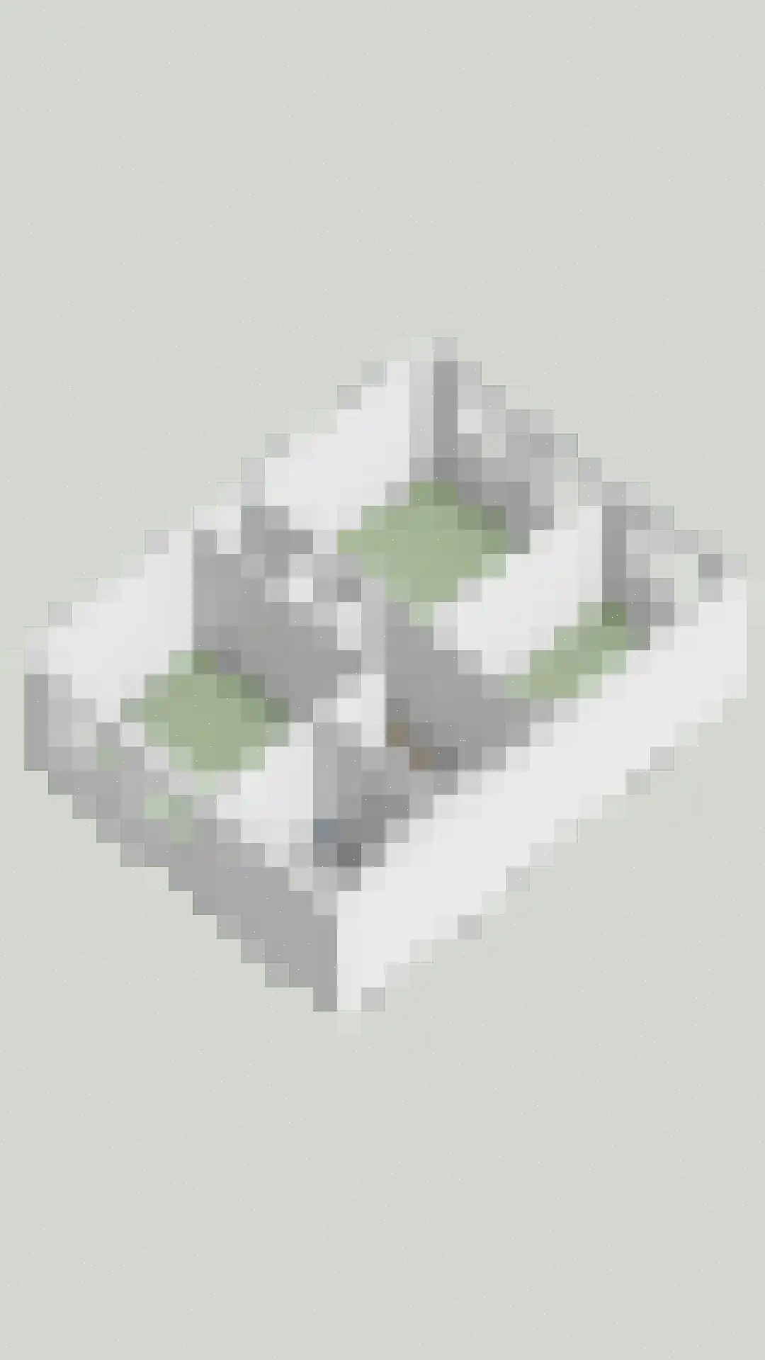 Koningsweg 15 Geldermalsen thumbnail 47