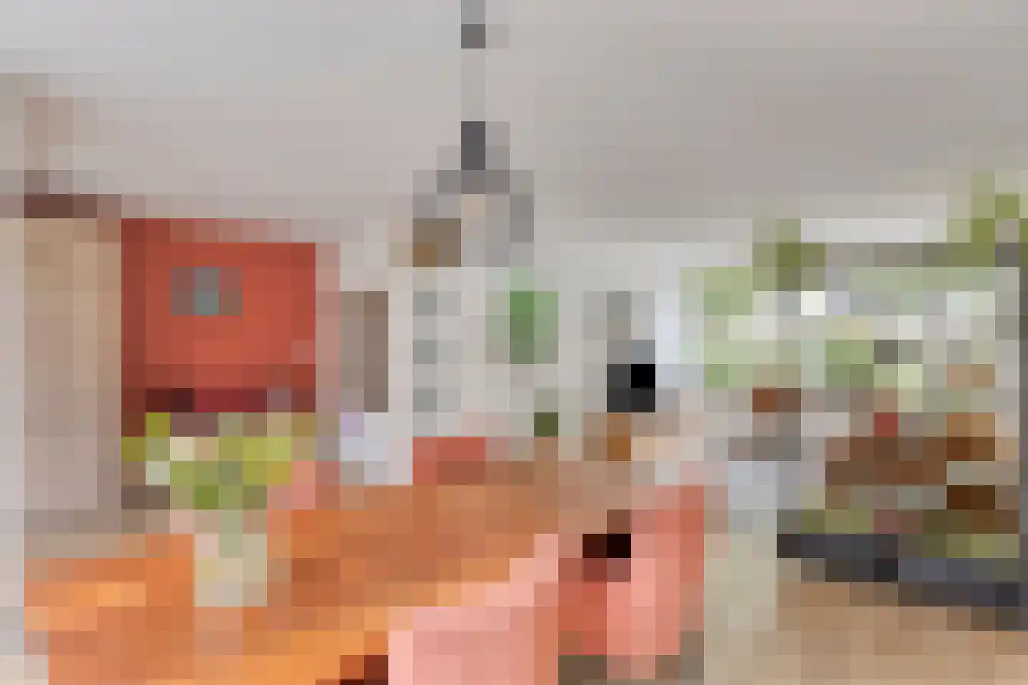 Koningsweg 15 Geldermalsen thumbnail 7