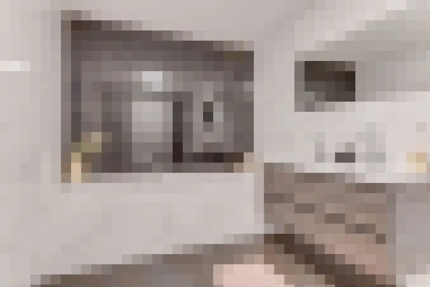 Koningsweg 16 B Alkmaar thumbnail 32