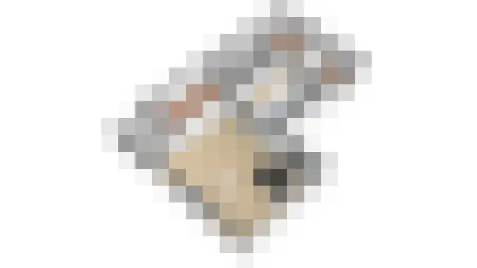Koningsweg 16 B Alkmaar thumbnail 52