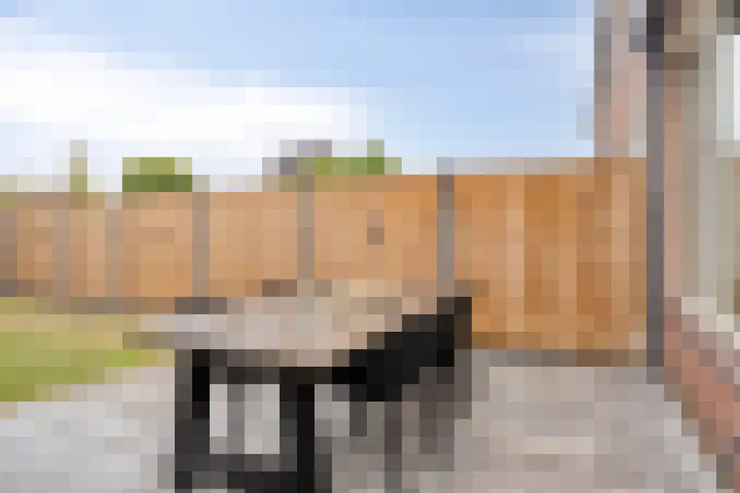 Koningsweg 161 Winterswijk thumbnail 26
