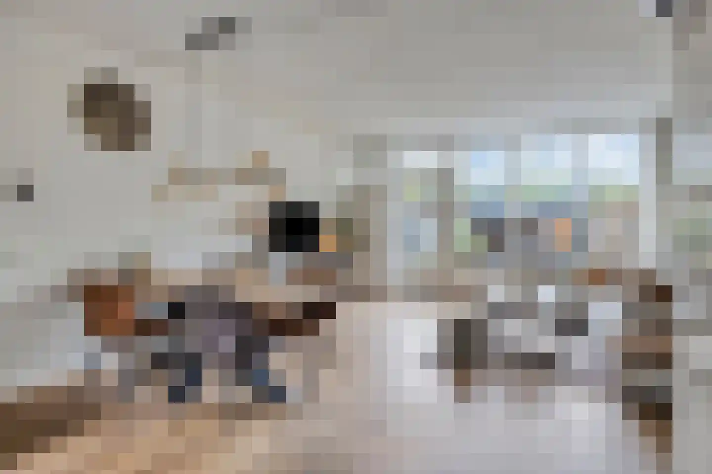 Koningsweg 161 Winterswijk thumbnail 8