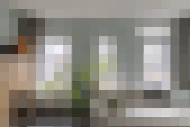 Koningsweg 18 B Alkmaar thumbnail 6