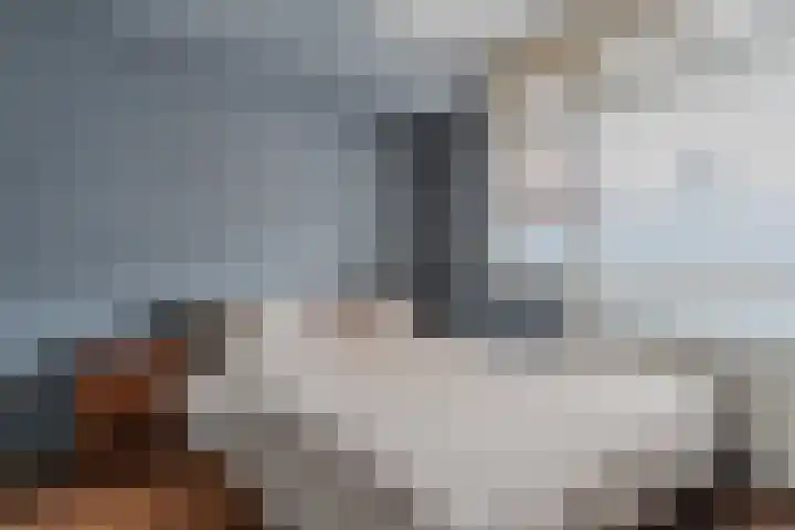 Koningsweg 18 I Alkmaar thumbnail 12