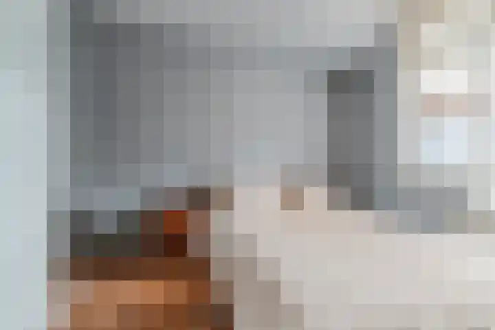 Koningsweg 18 I Alkmaar thumbnail 13