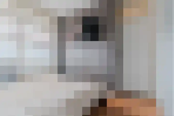 Koningsweg 18 I Alkmaar thumbnail 14