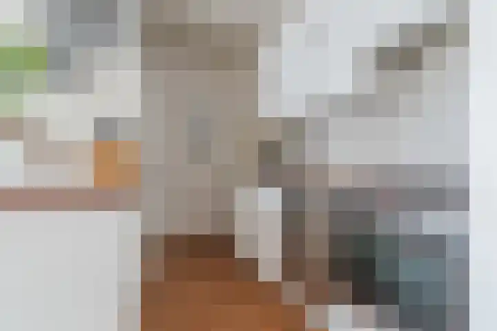 Koningsweg 18 I Alkmaar thumbnail 7