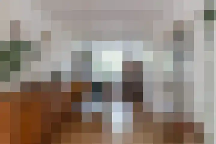 Koningsweg 18 Utrecht thumbnail 11