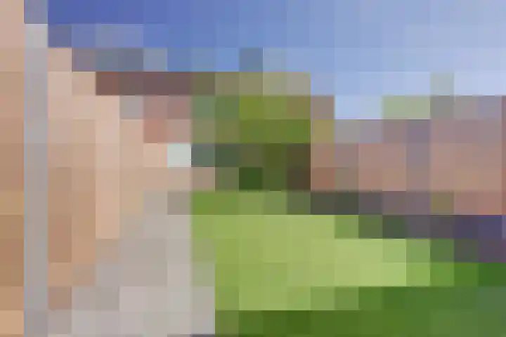 Koningsweg 181 Winterswijk thumbnail 28