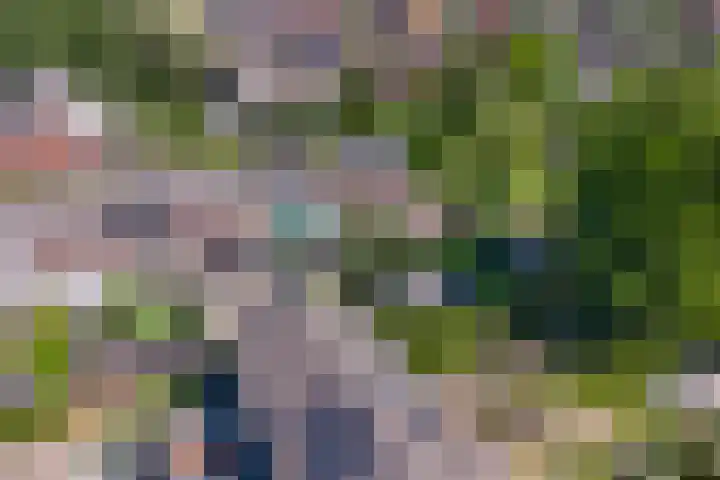 Koningsweg 181 Winterswijk thumbnail 31