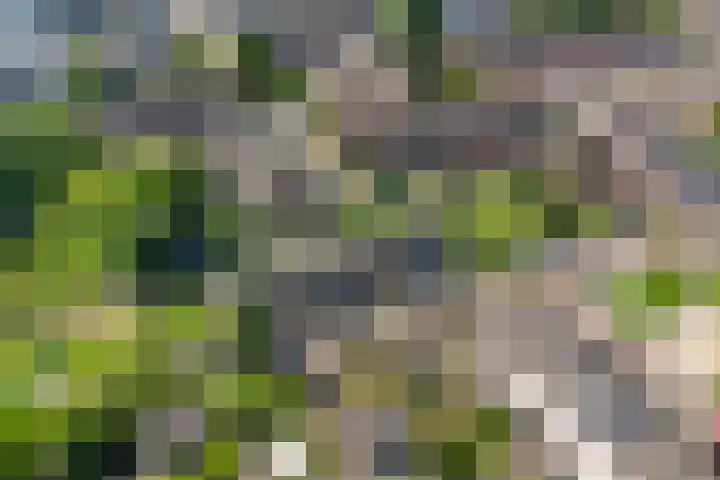 Koningsweg 181 Winterswijk thumbnail 32