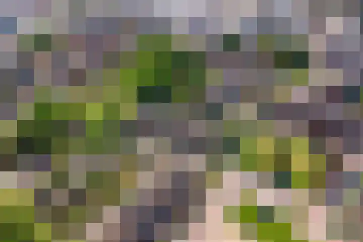 Koningsweg 181 Winterswijk thumbnail 33