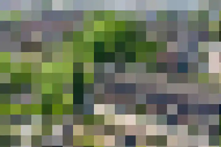 Koningsweg 181 Winterswijk thumbnail 34