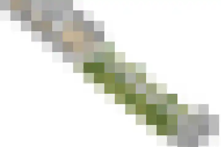 Koningsweg 181 Winterswijk thumbnail 39