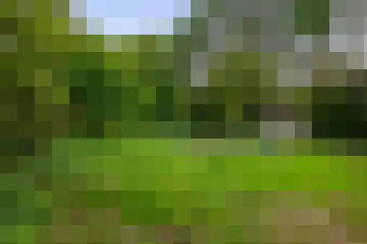 Koningsweg 19 Utrecht thumbnail 22