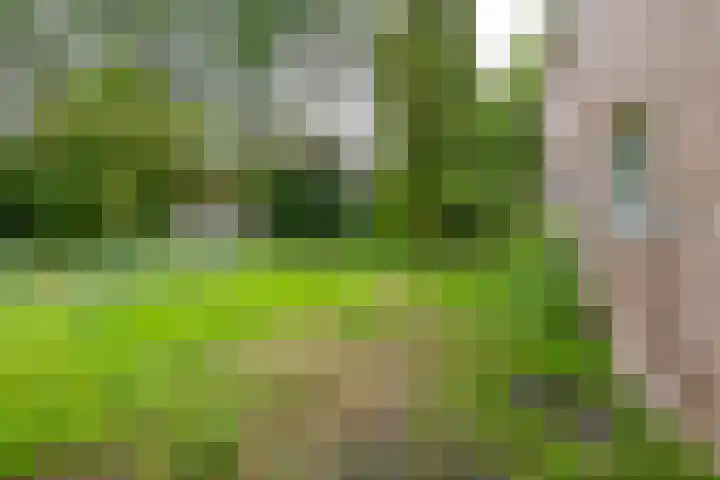 Koningsweg 19 Utrecht thumbnail 23