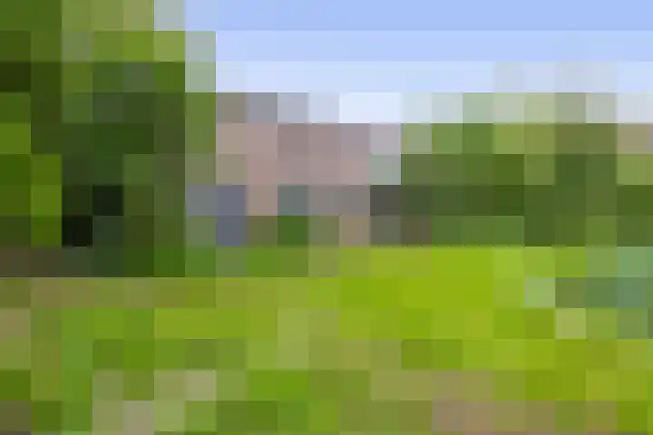 Koningsweg 19 Utrecht thumbnail 24