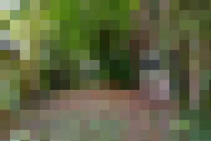 Koningsweg 19 Utrecht thumbnail 25